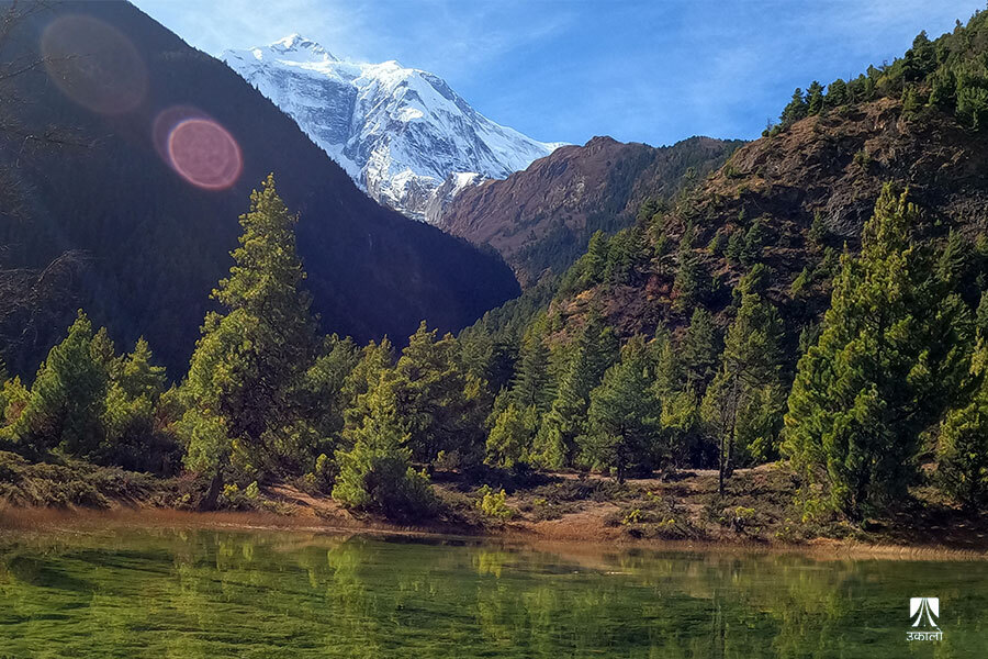 नब्बे लाख टन कार्बन बेचेर ६ अर्ब कमाउने नेपालको लक्ष्यमा तगारो 