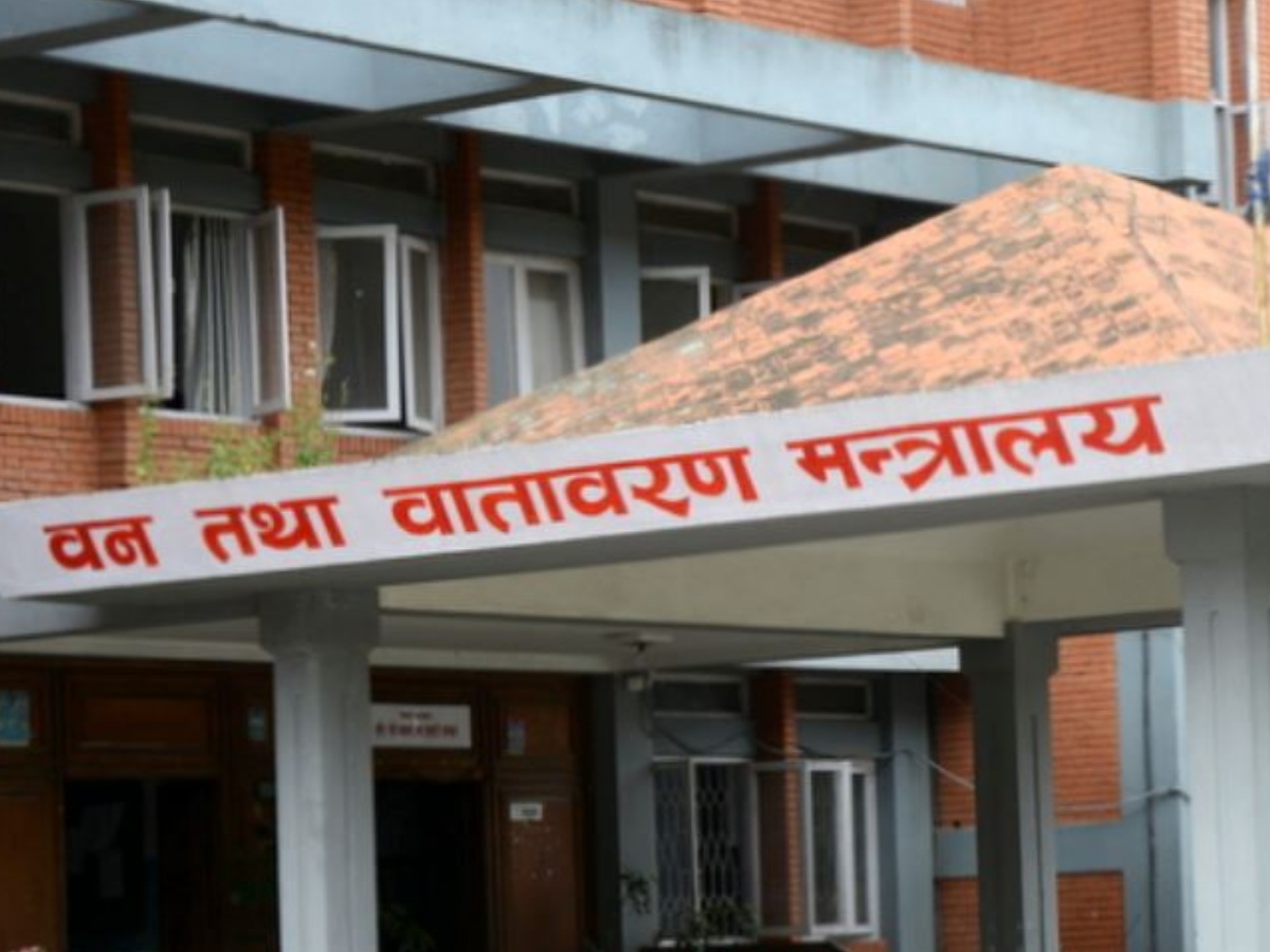 वन पैदावारको उत्पादन र किनबेच सहज बनाउने निर्णय