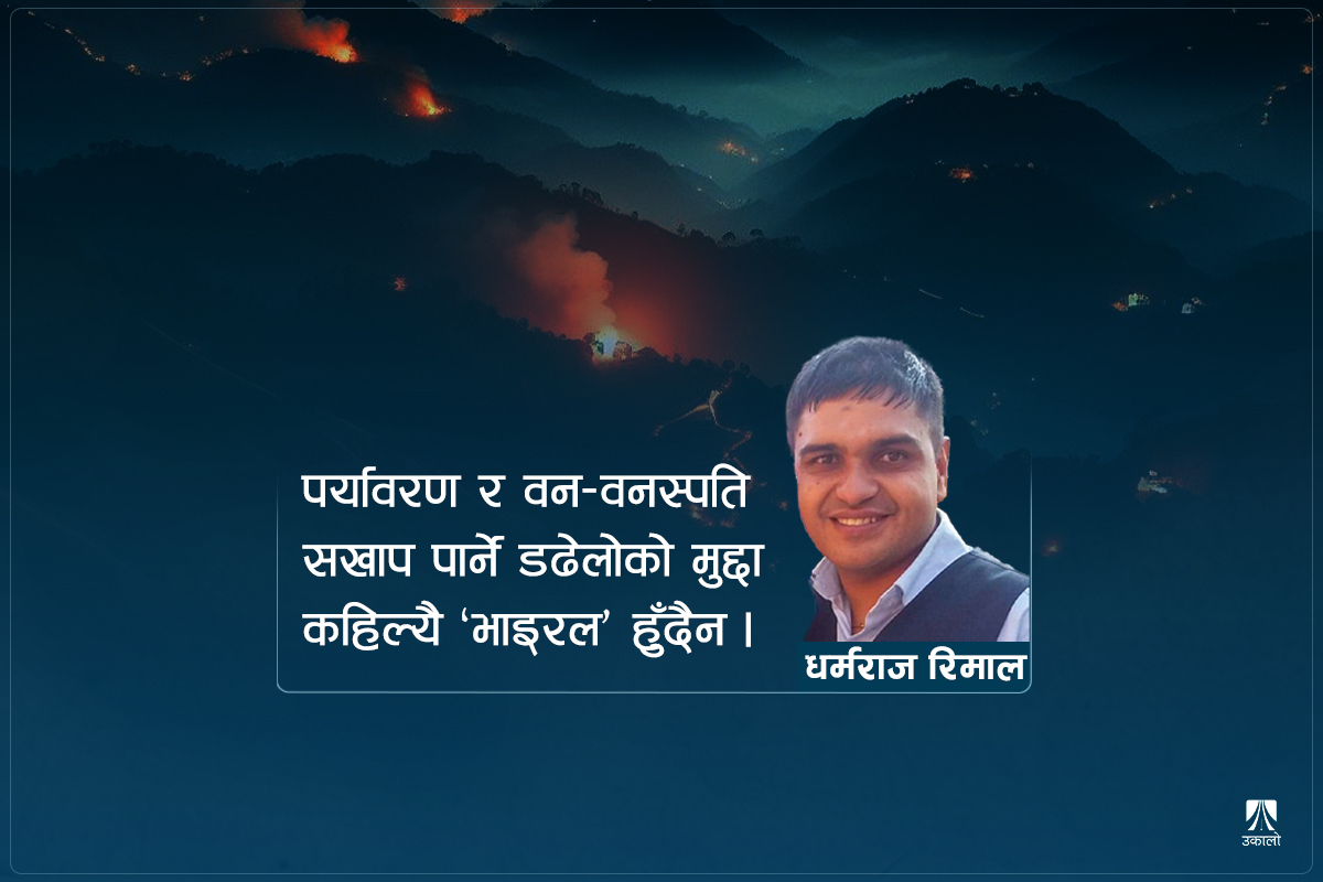 रुख कटानभन्दा झनै विनाशकारी डढेलो