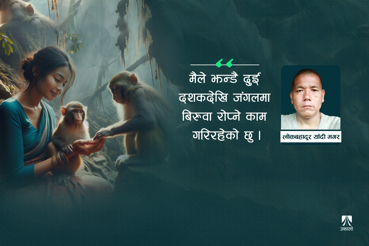 बाँदर समस्या: रुख काट्ने होइन, झन् धेरै रोप्नुपर्छ