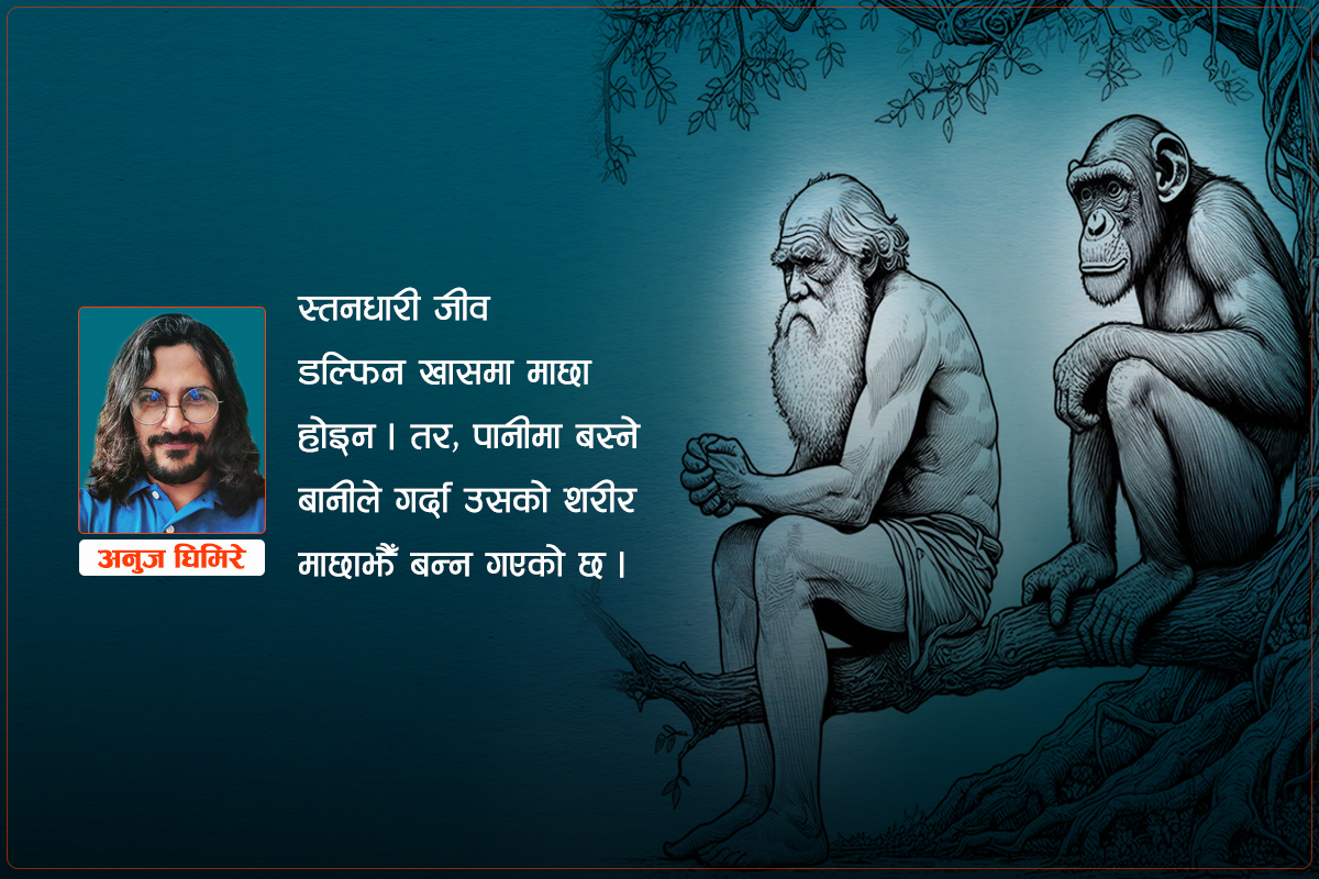 डार्विन बाजे जिउँदै हुन्थे भने कति रमाउँथे होला?