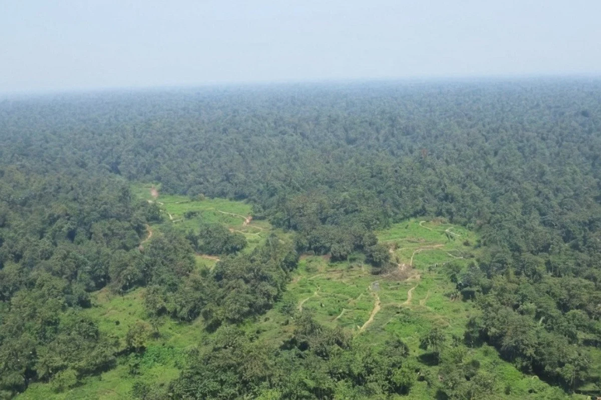 वन जोगाएबापत नेपालले ५५ मिलियन डलर पाउने, लिफ कोलिसेनसँग सम्झौता