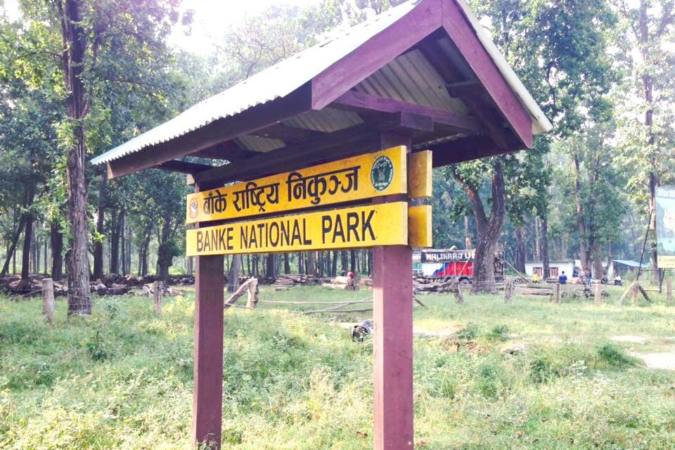 बाँके राष्ट्रिय निकुञ्जले खुल्ला गर्‍यो जंगल सफारी