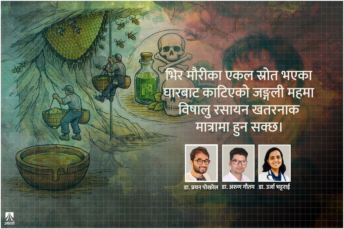 भिर मौरीको जङ्गली मह: खान मिठो, नजान्दा घातक