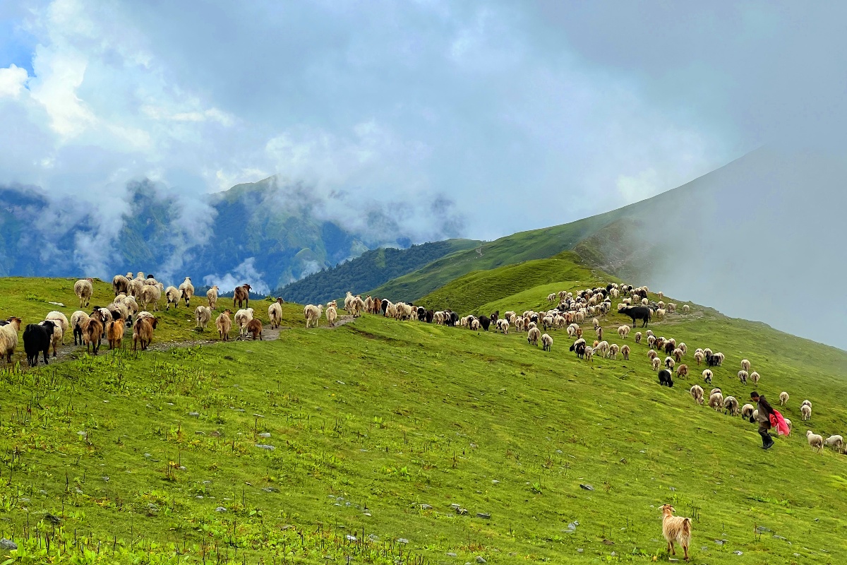 पदयात्रका लागि उत्कृष्ट गन्तव्य बन्दै बुकीपाटन