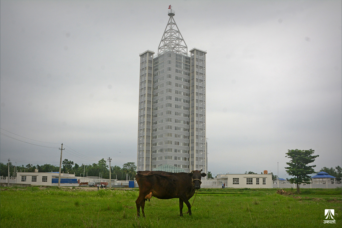स्वदेश र परदेशमा थरी थरीका ‘भ्यु टावर’ (तस्वीर–कथा)