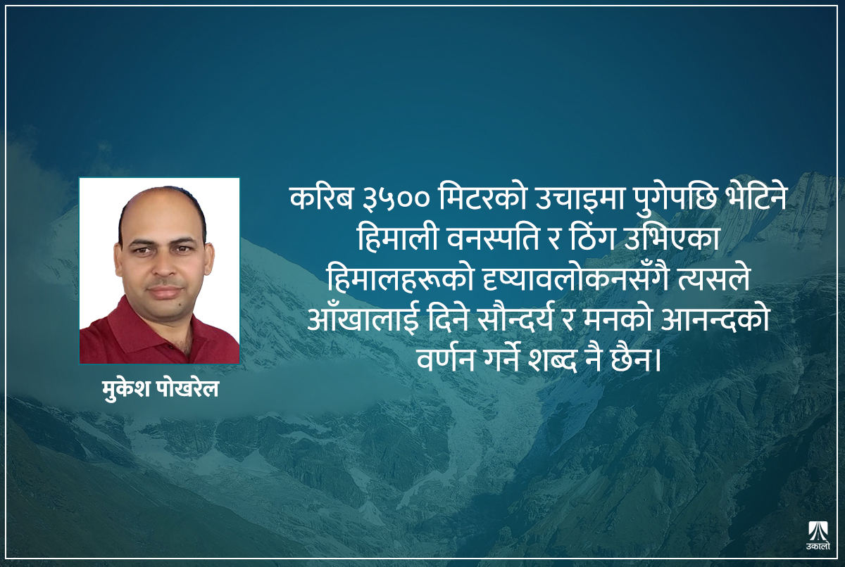 हिमाली पदयात्रामा धावकको उपाधि पाउँदा 