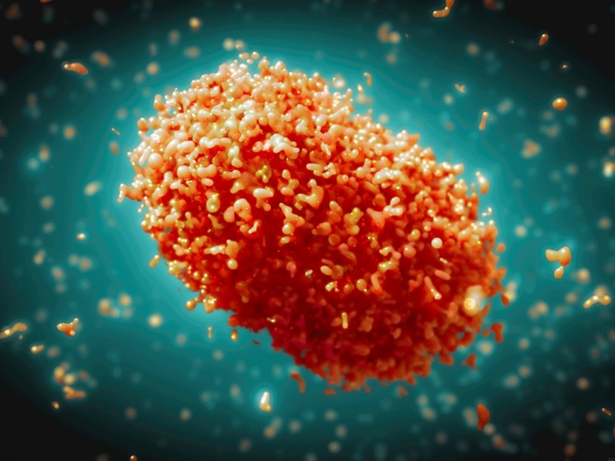 मंकीपक्स संक्रमणको जोखिममा नेपाल, विमानस्थल तथा सीमानाकामा बढाइँदै निगरानी