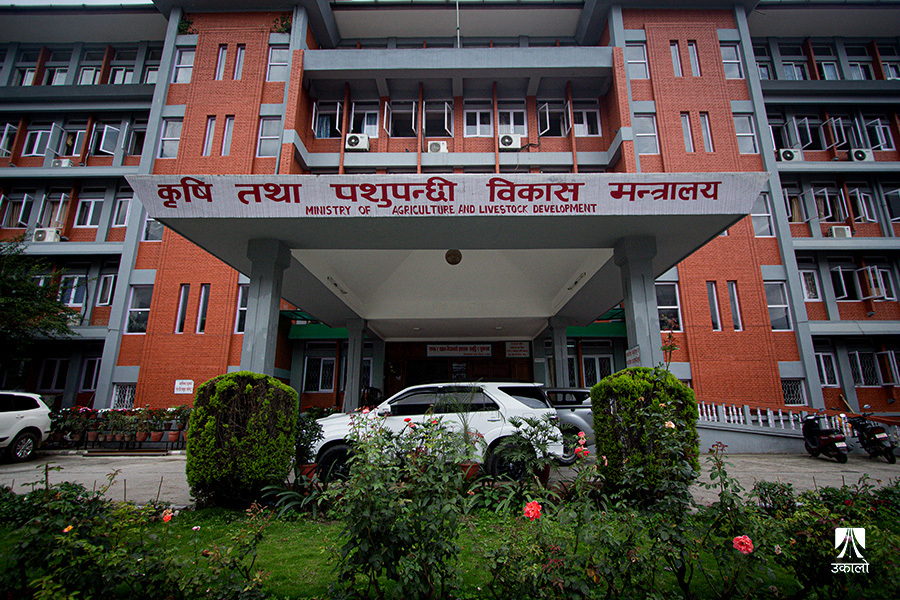 आगामी आर्थिक वर्षको बजेटअगावै मल खरिद गरिने