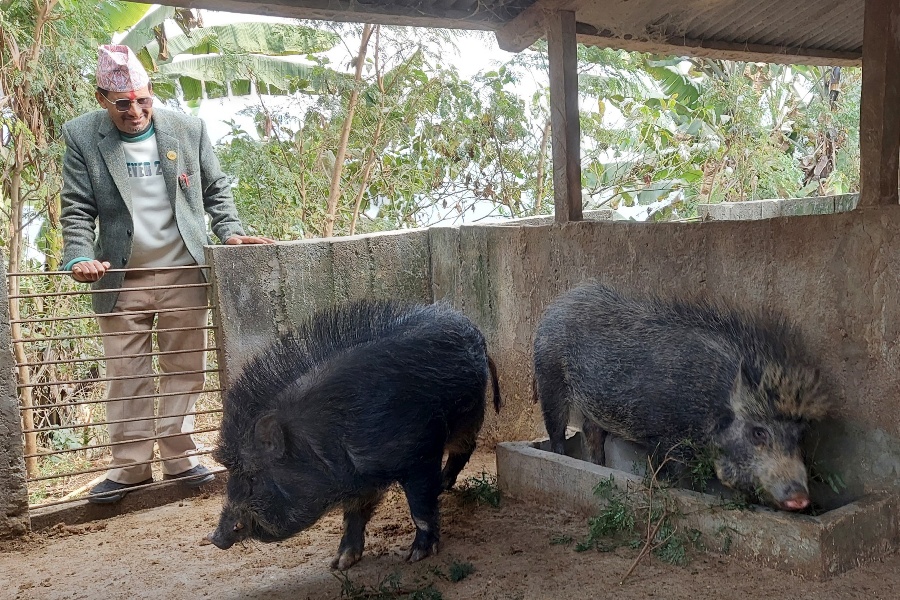व्यक्तिगत लगानीमा १५ वटा कृषि फार्म सञ्चालन गरिरहेका धर्मराज