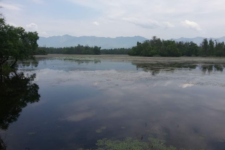 विश्व सिमसार दिवस: अत्यधिक दोहनले संकटमा सिमसार