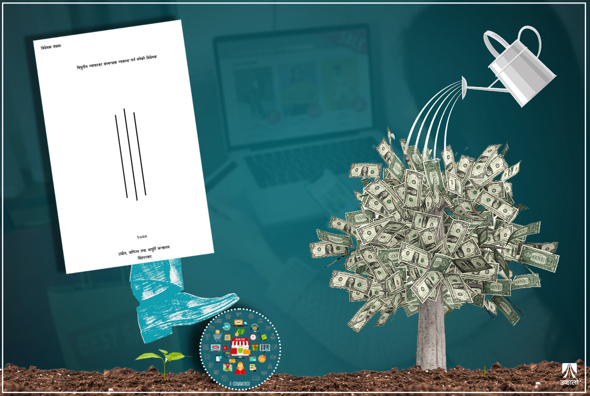 ई–कमर्स  विधेयक: उदीयमान उद्यमी निमोठिएर ठूला घरानाको एकाधिकार मौलाउने सन्त्रास