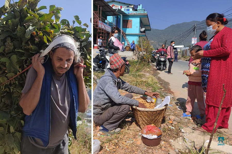 भुइँमान्छेलाई लागेन चुनाव