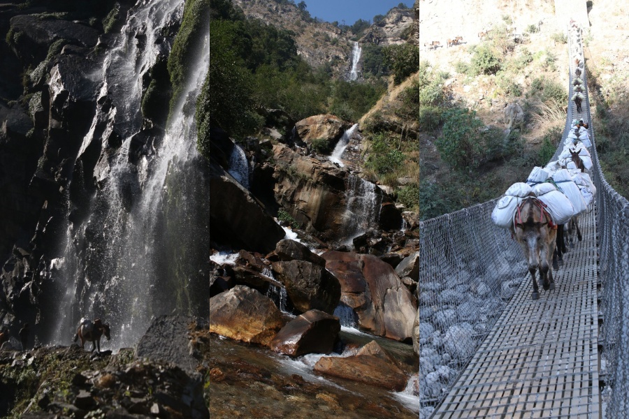 खच्चर धपाउँदै, धुलो उडाउँदै