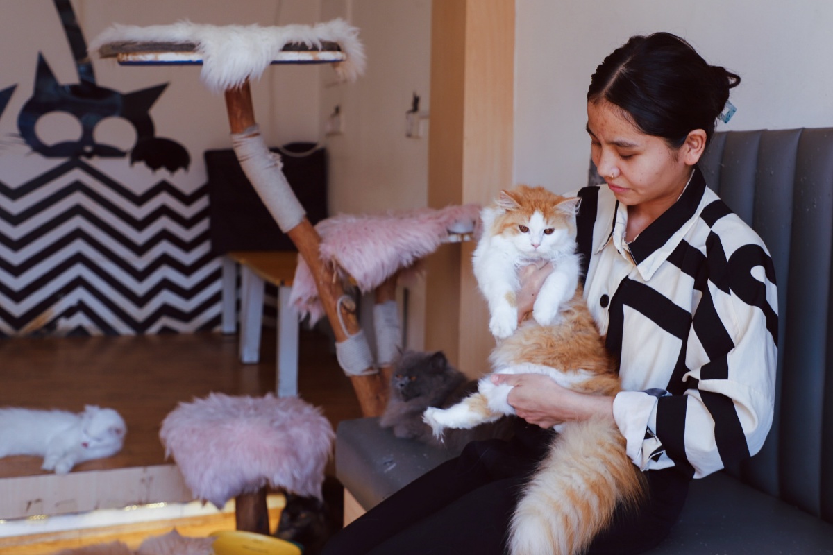 ‘क्याट क्याफे’को आकर्षण [तस्वीरहरू]