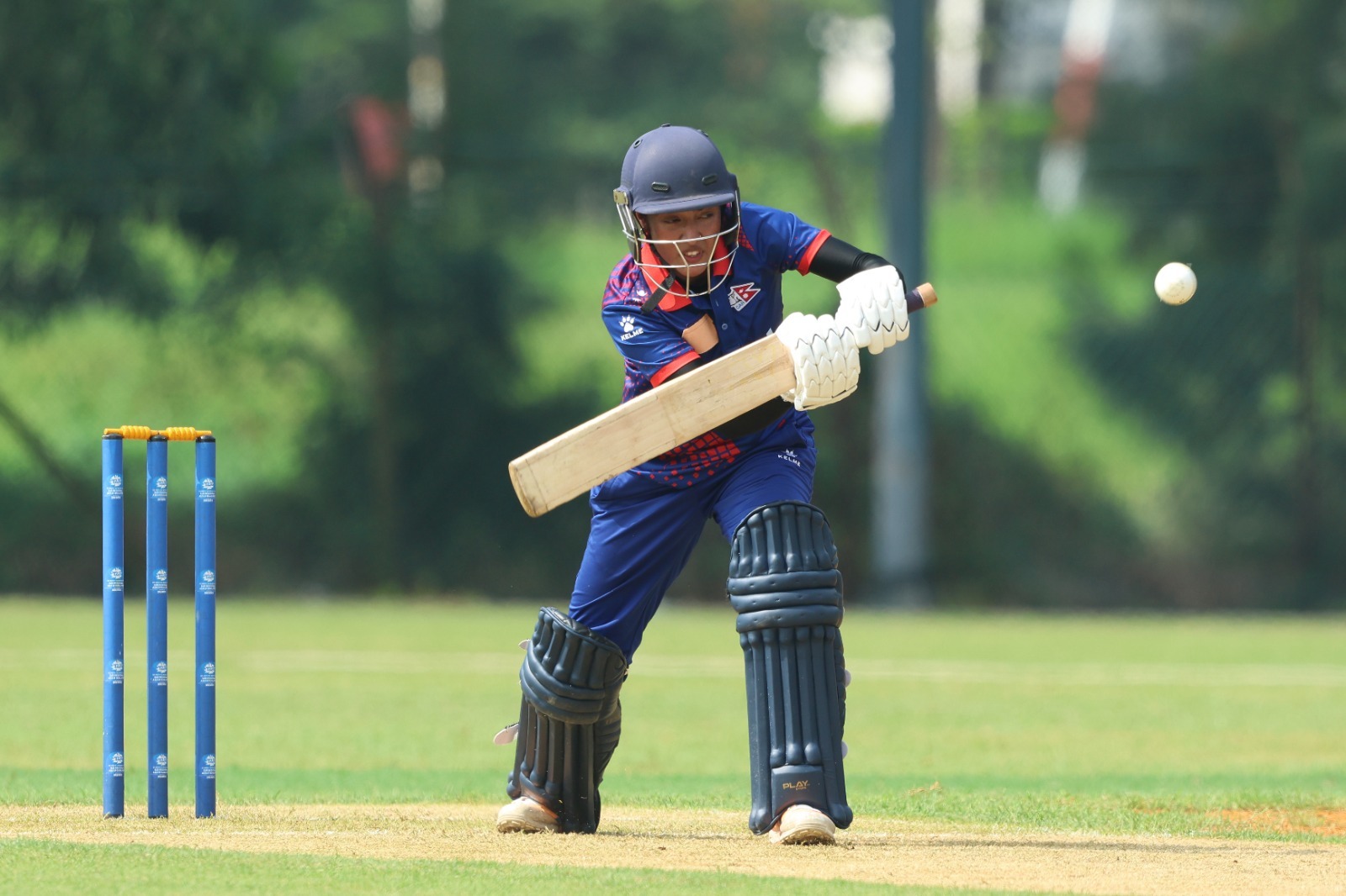 हङकङमाथि नेपालको ६ विकेटको जित