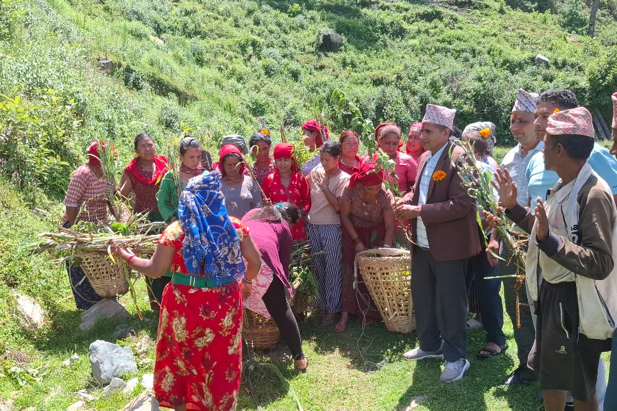 झाडी फाँडेर घाँस खेती, घरघरमा बाख्रापालन