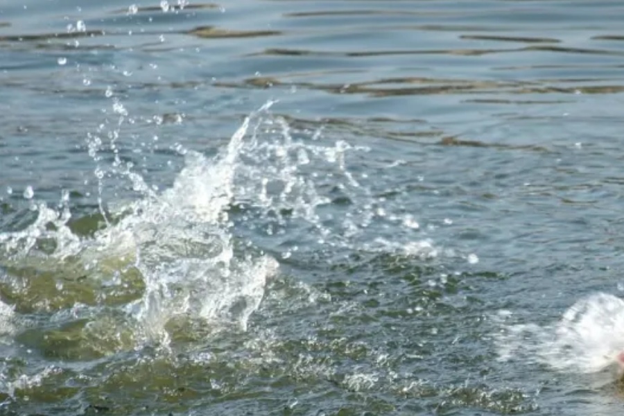 नहरमा डुबेर ३ बालिकाको मृत्यु