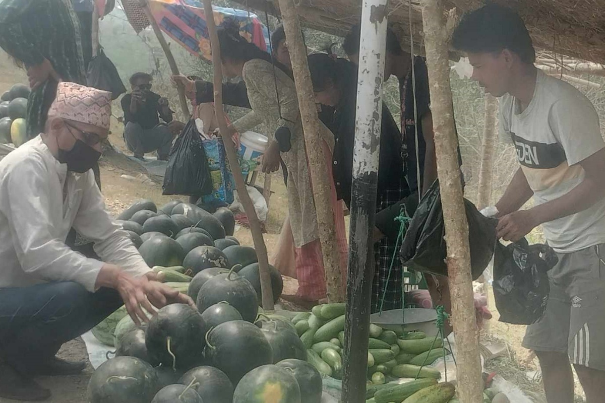 खरबुजाबाट घरखर्च: बगरमा खेती, राजमार्गमा बिक्री