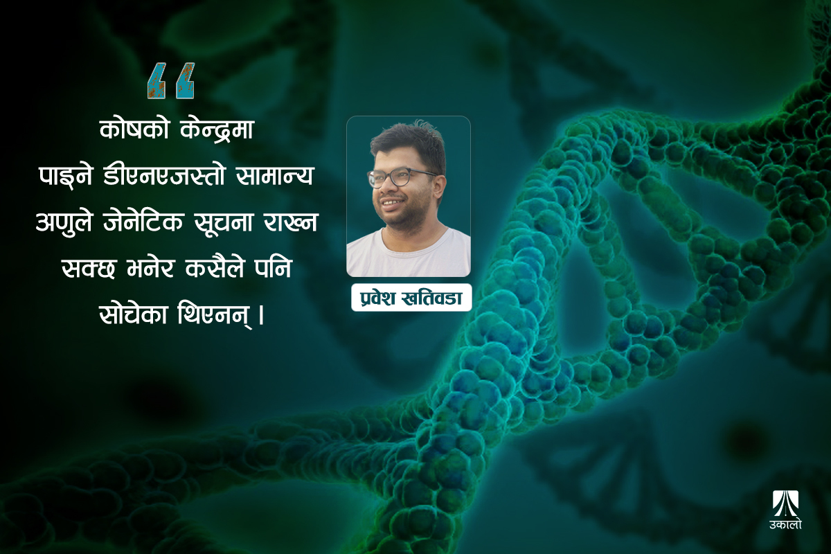 जिन र डीएनएले कसरी आफ्नो प्रतिलिपि बनाउँछन्?