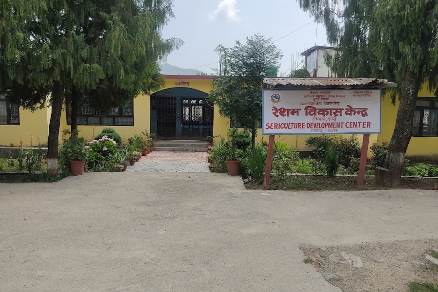 रेशम विकास केन्द्र: उत्पादन घट्दै, जेनतेन सञ्चालन