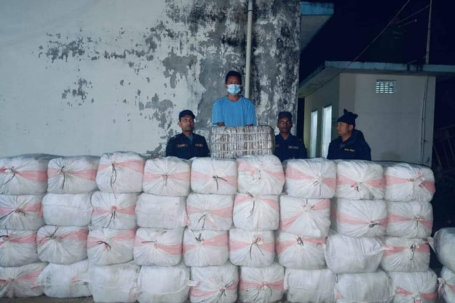 १७ क्विन्टल गाँजासहित एक जना पक्राउ