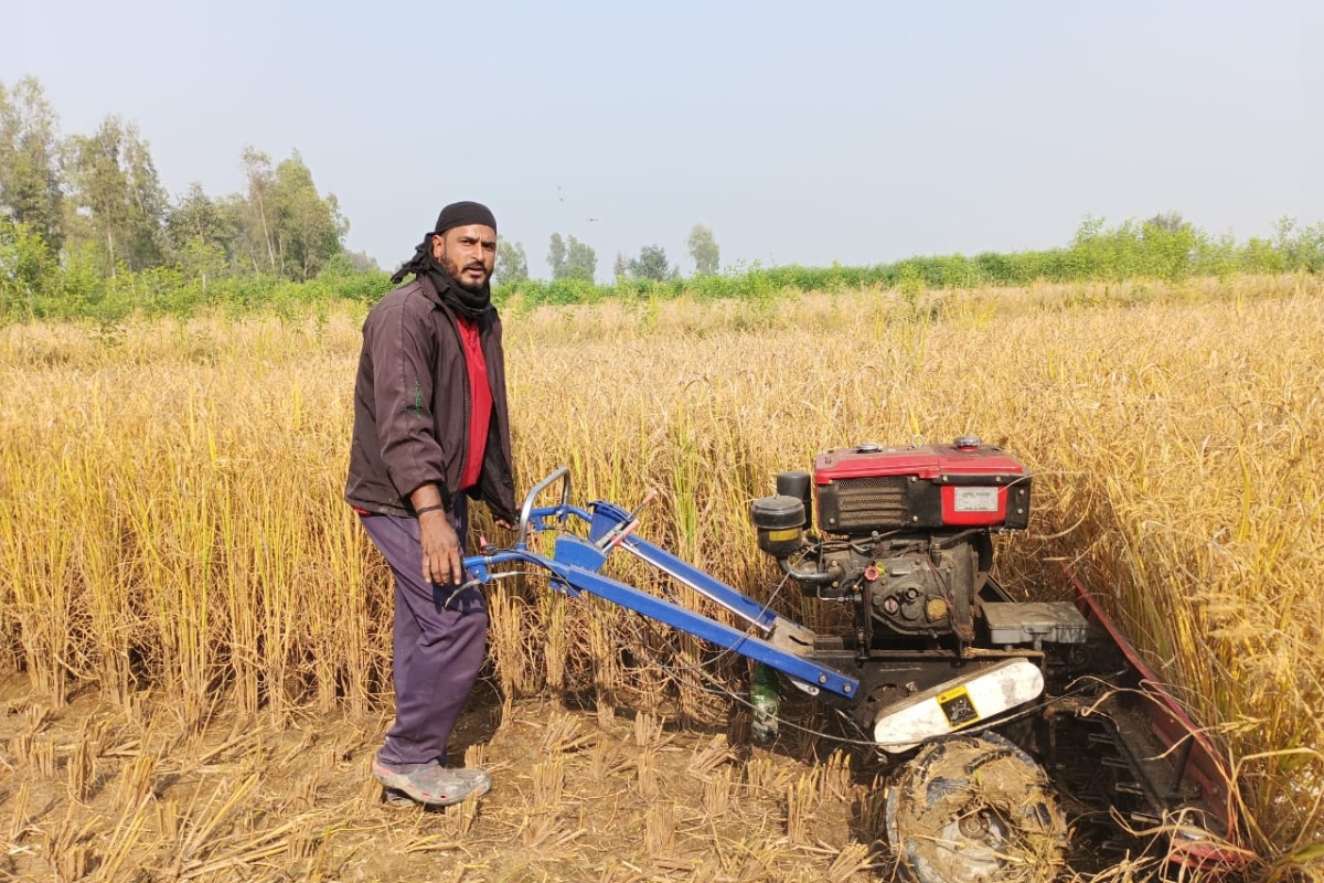 धान काट्न मजदुरको सट्टा ‘रिपर मेसिन’