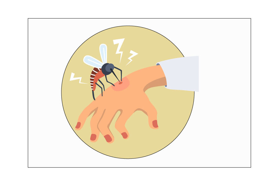 ५१ हजार नाघ्यो डेंगी संक्रमितको संख्या, ५७ जनाको मृत्यु