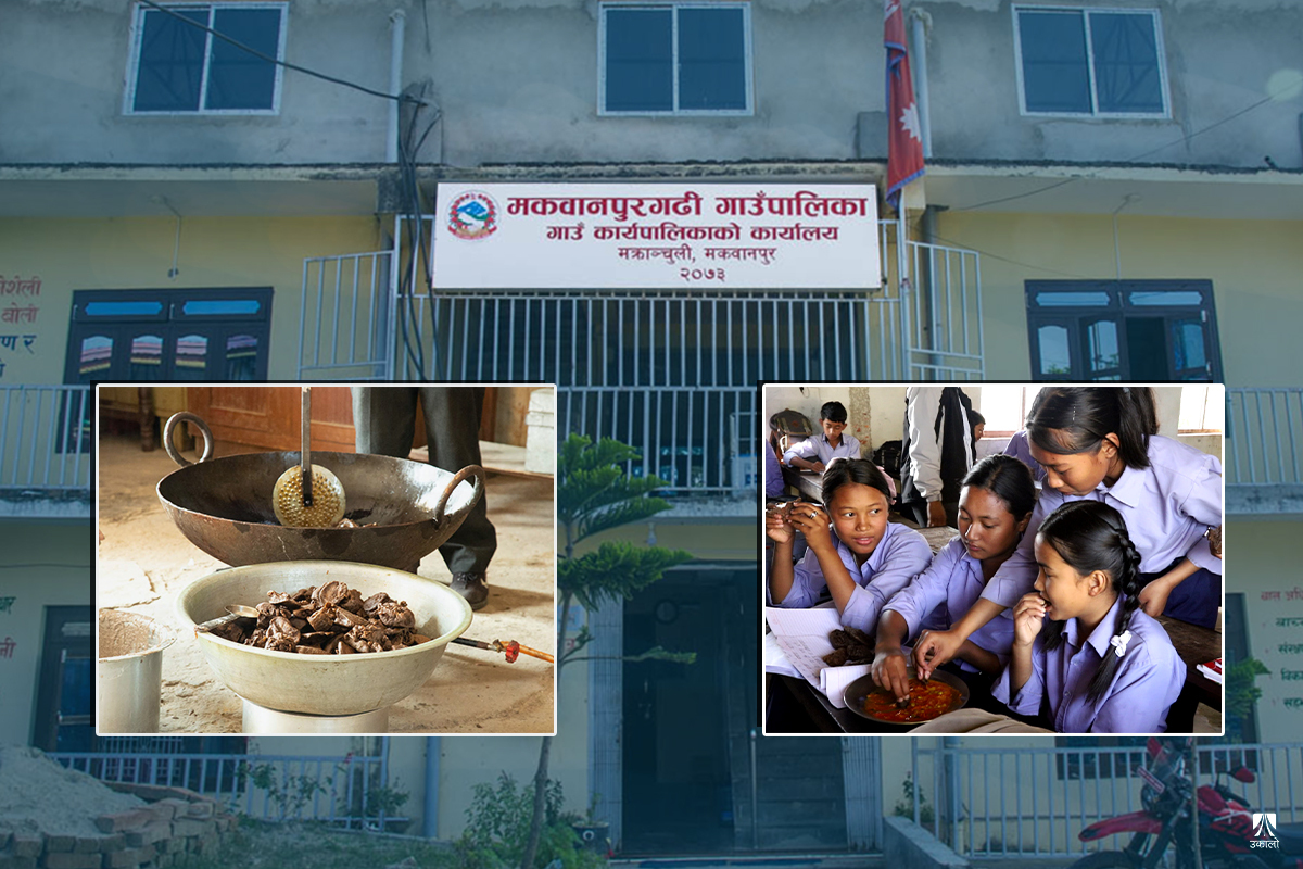 रैथाने बाली प्रवर्धनमा उदाहरणीय गाउँपालिकाः विद्यार्थीलाई कोदोको खाजा, किसानलाई अनुदान र बजार सुनिश्चित