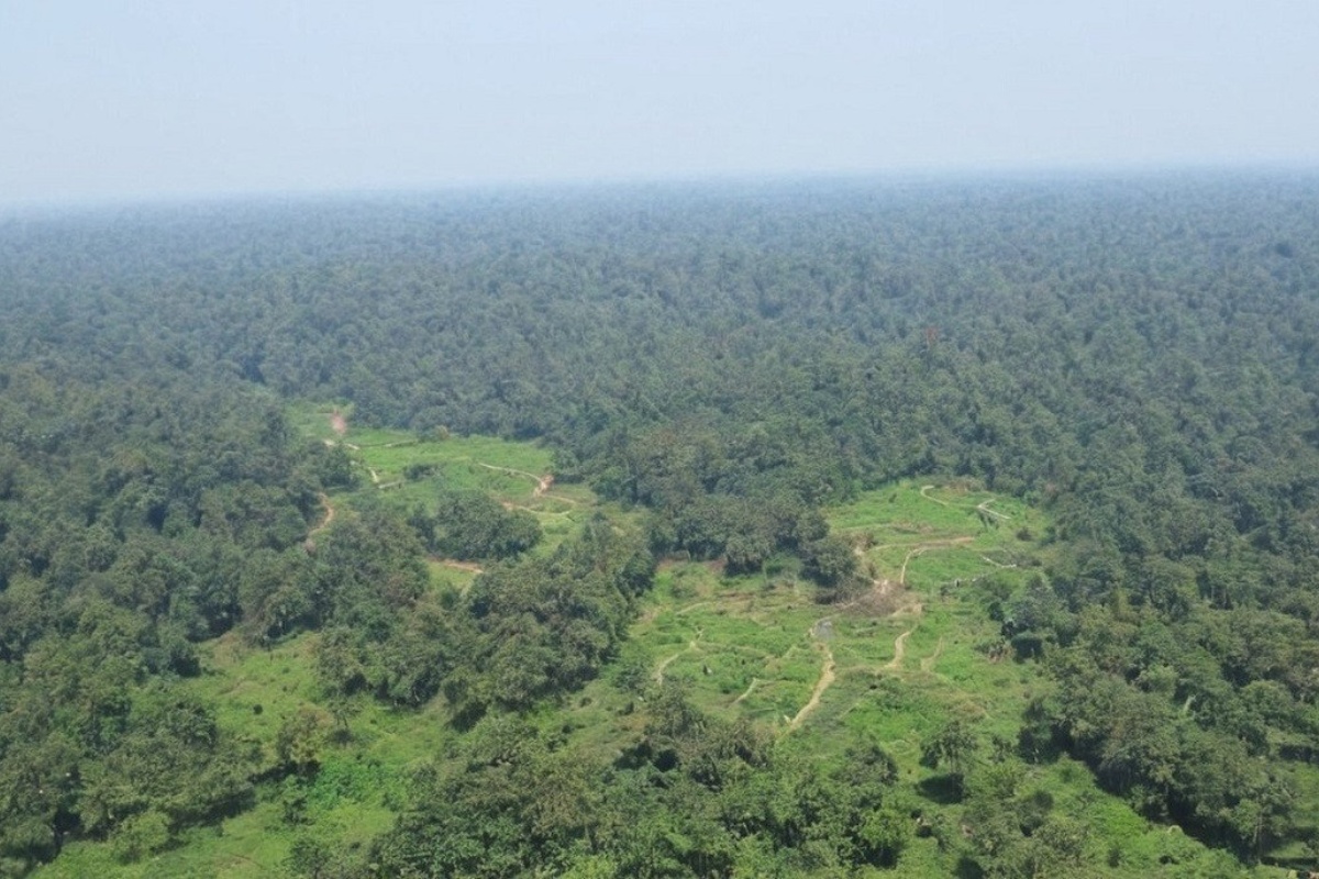 मधेश प्रदेशमा ६ हजार हेक्टर वनक्षेत्र अतिक्रमित