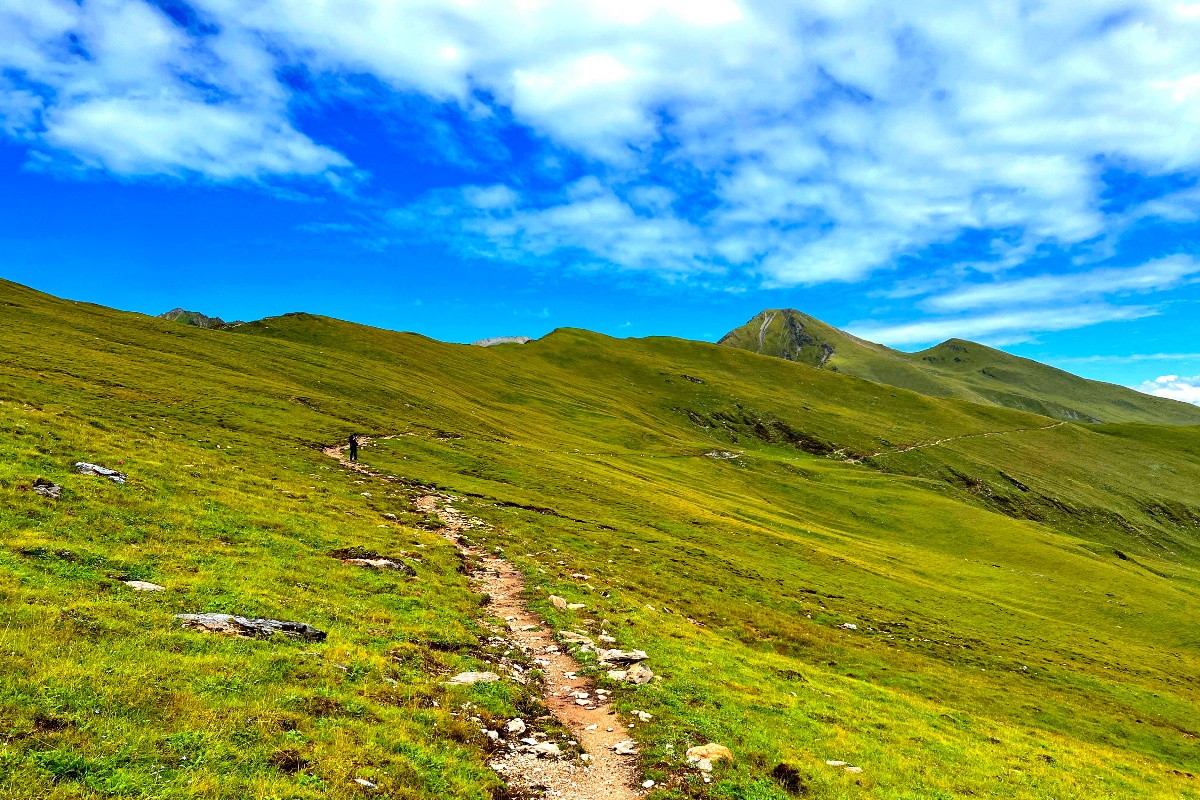 पर्यटकीय याममा पनि सुनसान छ ‘गुरिल्ला ट्रेक’