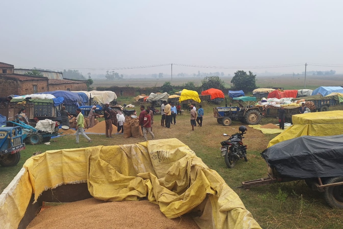 धान खरिद केन्द्रमा भीड, रातभर लाइन बस्छन् किसान