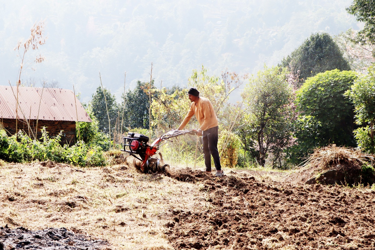 किसानले पाल्न छाडे हलगोरु, आधुनिक हलोले जोत्छन् खेतबारी