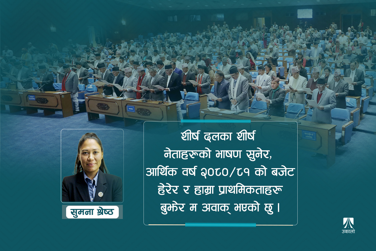 सांसदको काम के हो, पहिले सांसदले नै बुझौँ