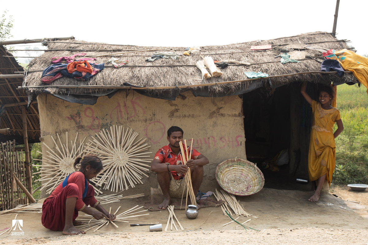 हुस्सु र चिसोले कष्टकर तराईको जीवन, सुधार हुन्छ कि शीतलहर नै चल्छ?