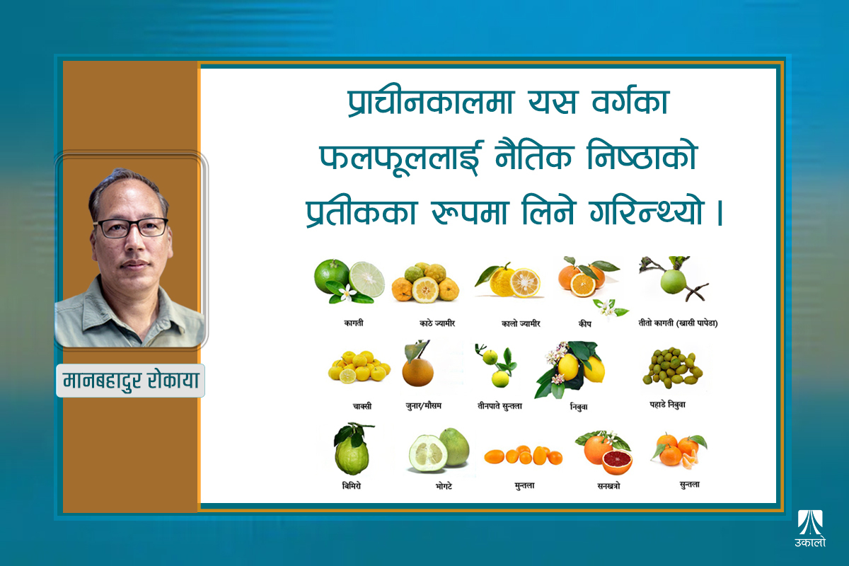 नेपालमा ‘सुका जाति’का फलफूल: प्रयोग र फाइदा