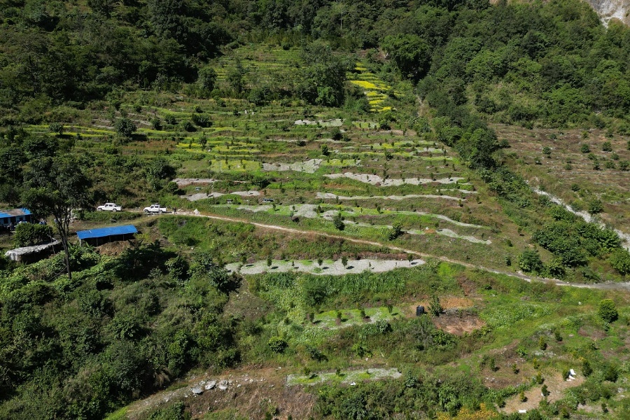 झाडी  फाँडेर सामूहिक सुन्तला खेती