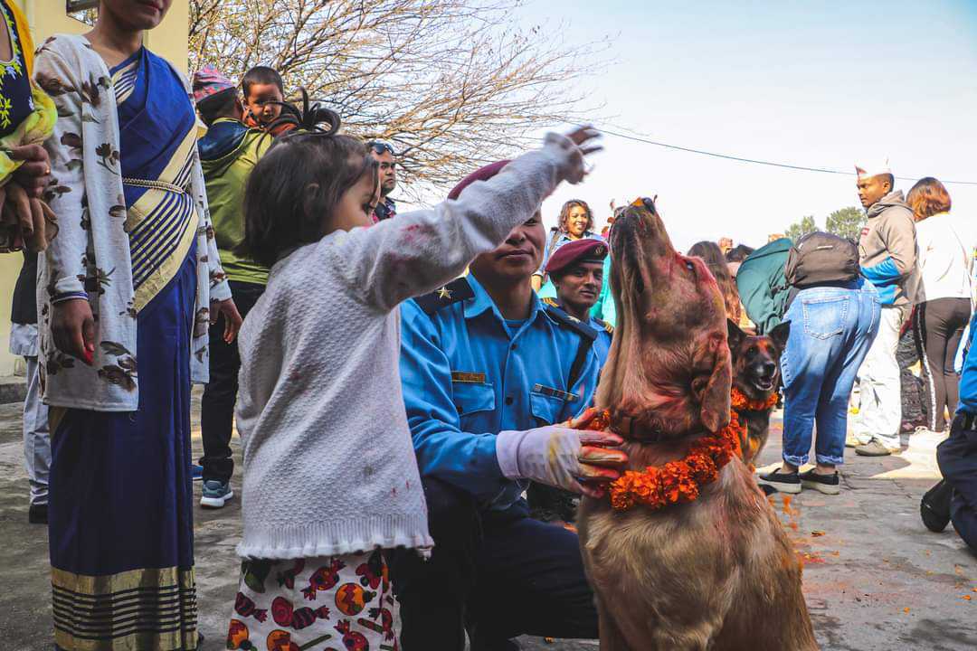 आज कुकुर तिहार, कुकुरको पूजा गरी मनाइँदै