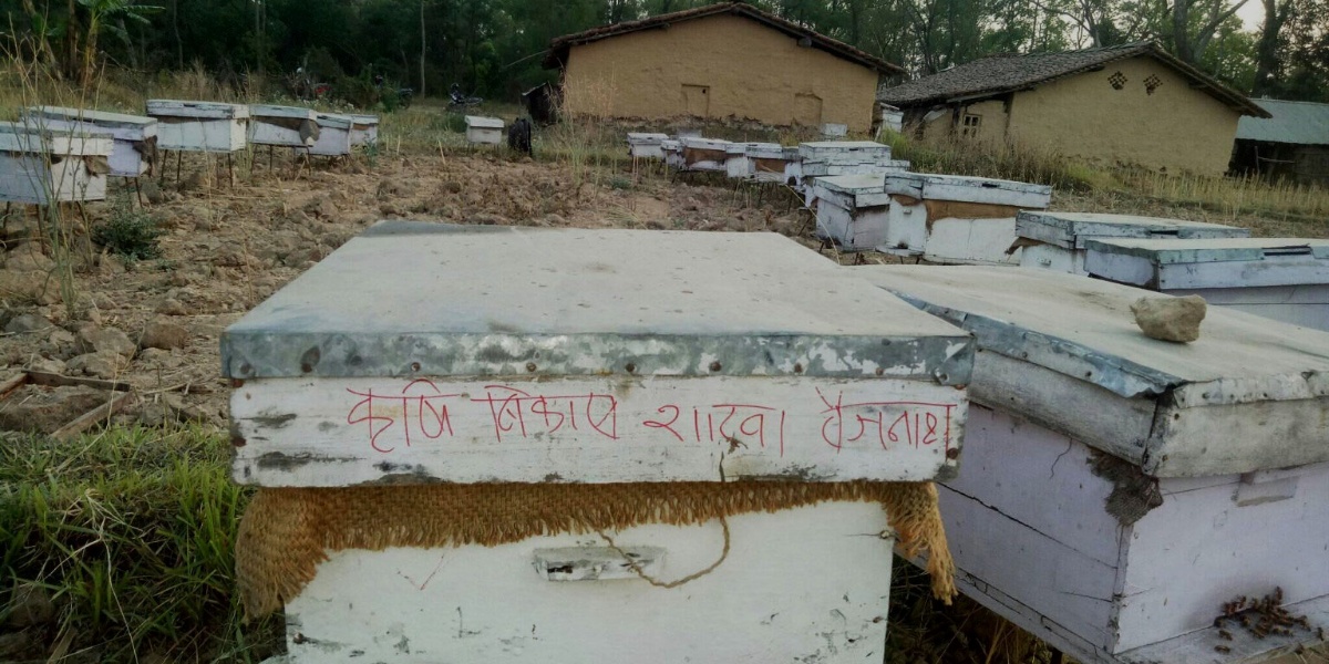 मह बेचेर वार्षिक १४ लाख आम्दानी गर्छिन् नन्दकला