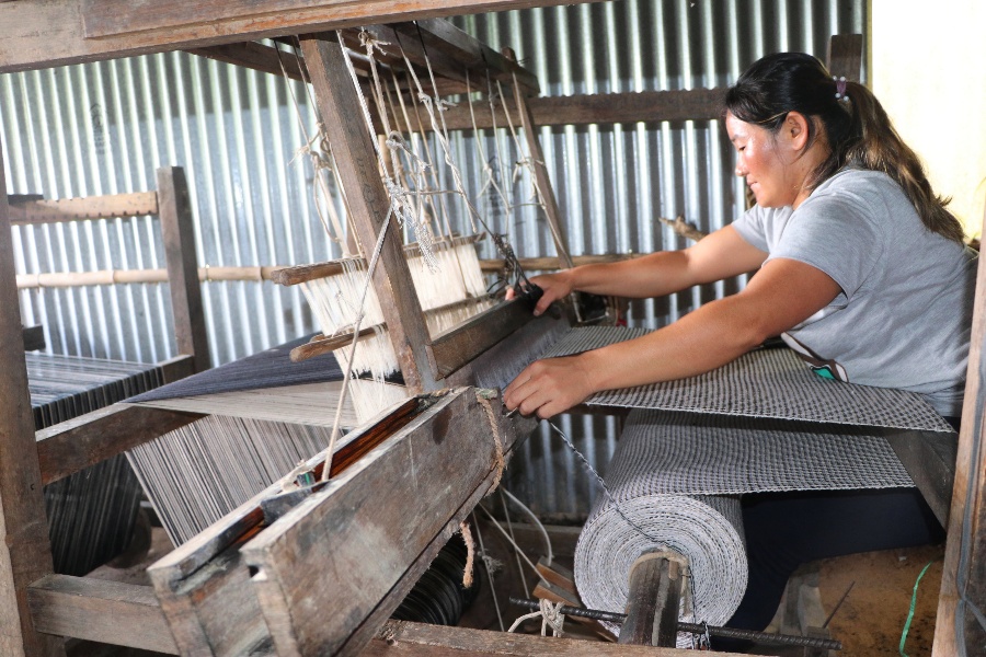 जंगलमा उत्पादित अल्लोबाट रोजगारीसँगै आम्दानी