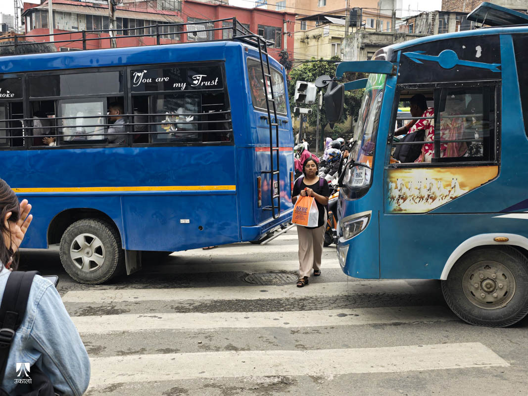 जेब्राक्रसमै आएर रोकिन्छन् गाडी, पैदलयात्रीलाई बाटो काट्नै सकस (तस्वीरहरू)