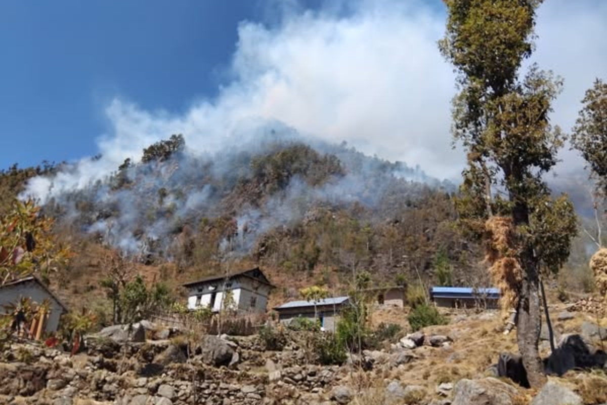 नियन्त्रणमा आउन सकेन शैलुङको जंगलमा लागेको डढेलो