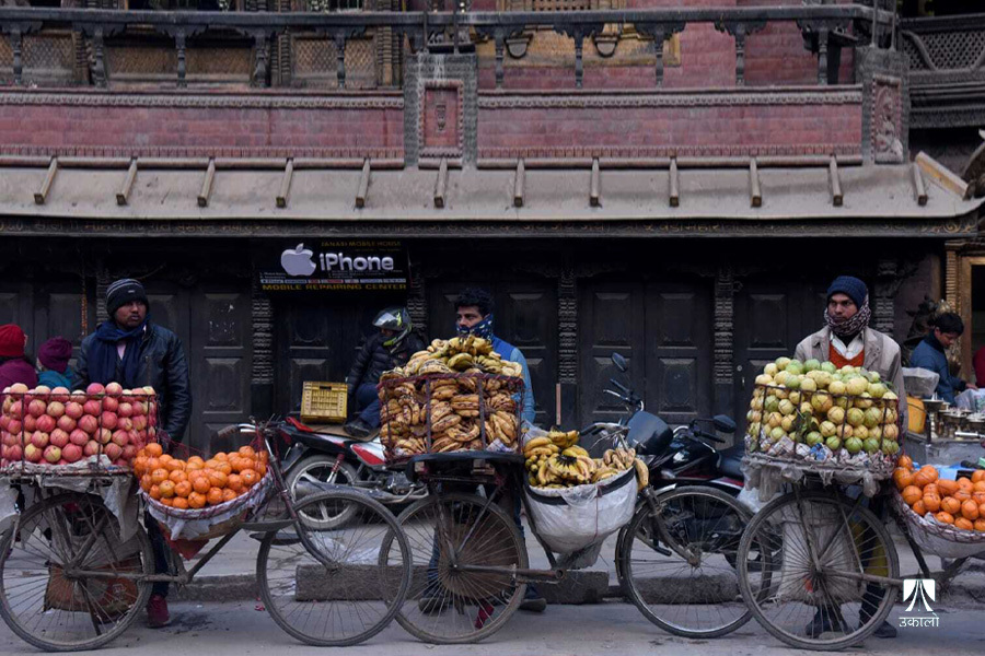 फलफूल आयात गर्न गत वर्ष बाहिरियो १६ अर्ब आठ करोड