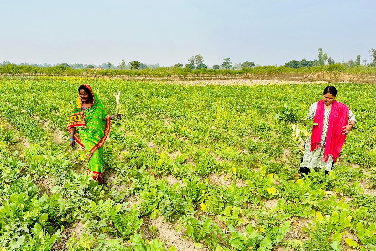 सामूहिक तरकारीखेतीबाट आत्मनिर्भर बन्दै सिसवोनीका दलित महिला  