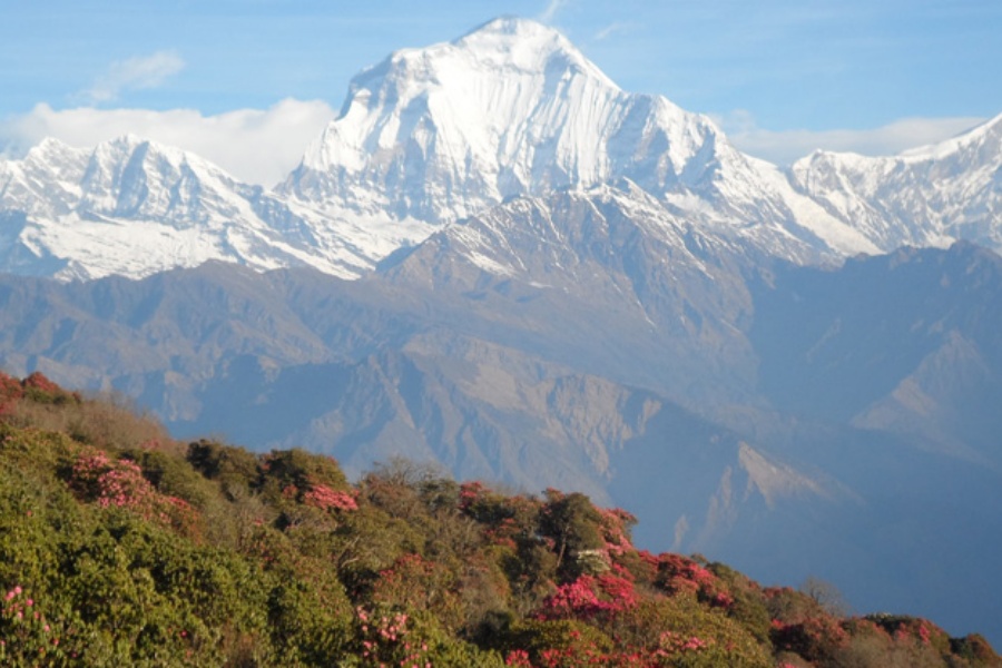 अन्नपूर्ण हिमाल आरोहणमा गएका एक भारतीय नागरिक बेपत्ता