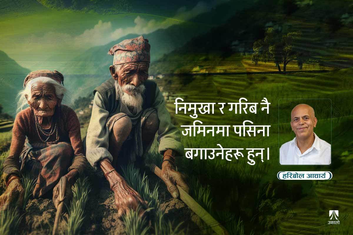 जमिन कसको?