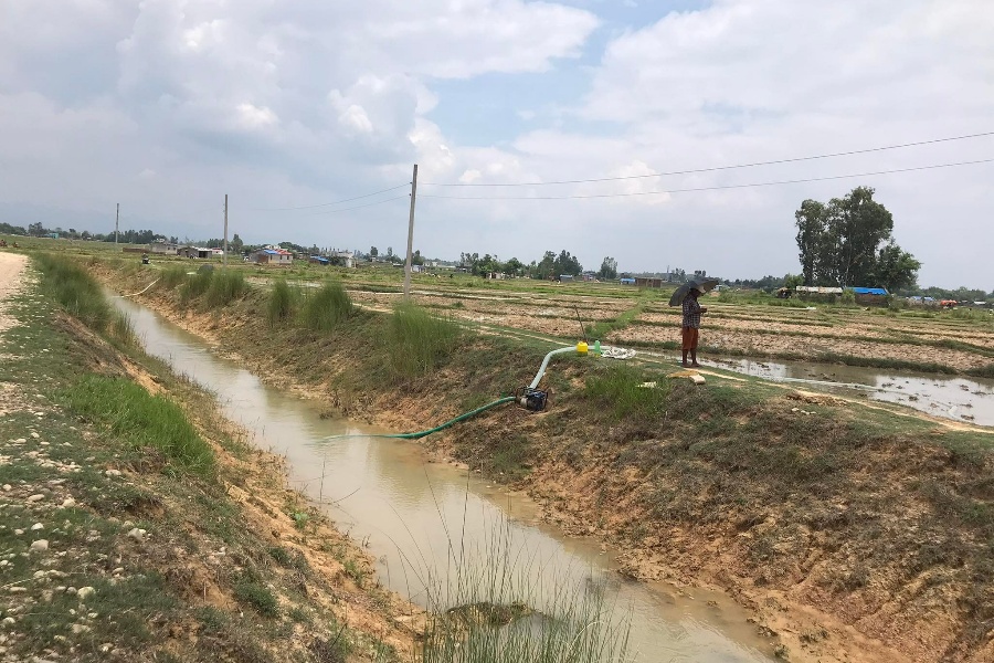 २० हजार २०० हेक्टर जमिनमा पुग्यो सिक्टाको पानी