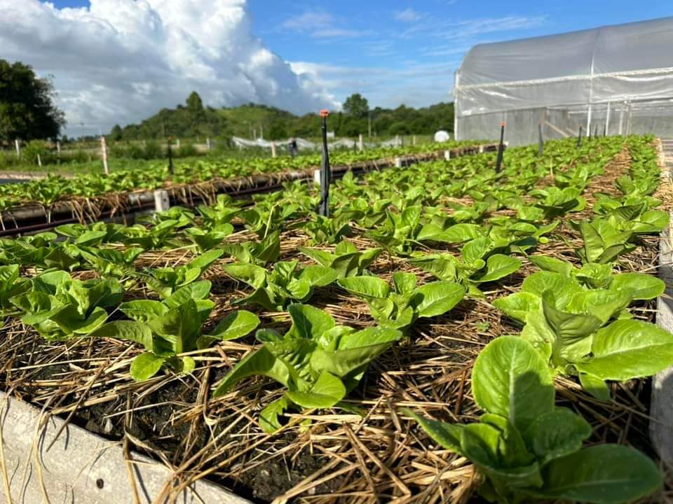 कृषि पर्यटनले बढायो रोजगारी