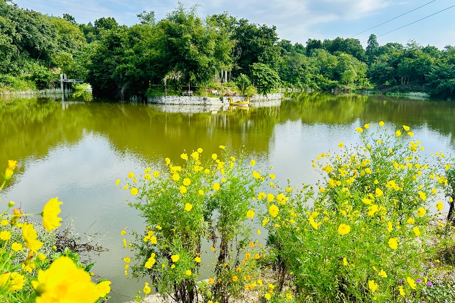 पर्यटक लोभ्याउने सिरहाको ‘गोसाइ डाँडा ताल’