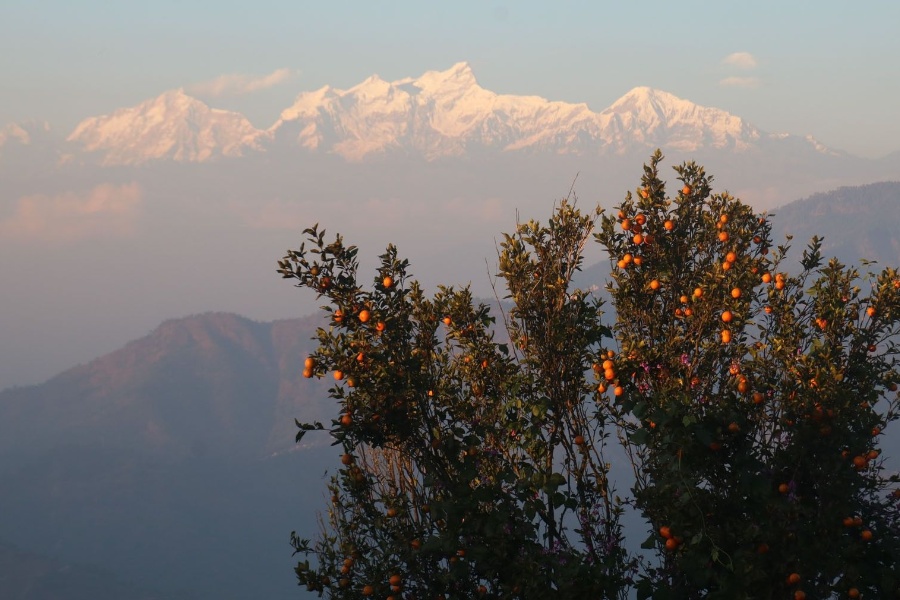 प्रचार–प्रसार नहुँदा ओझेलमा 'पामडाँडा'